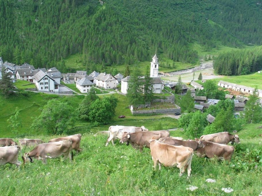 Casa Di Vacanza Giovanibosco Екстериор снимка